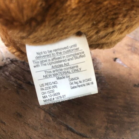 VTG Department 56 Teddy Bear Training Center Graduate Plush Stuffed Animal - Picture 6 of 8